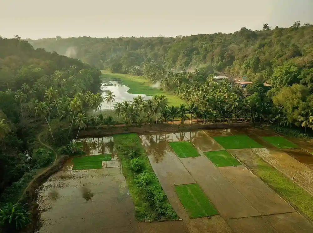 Goa Tour Packages from Surat