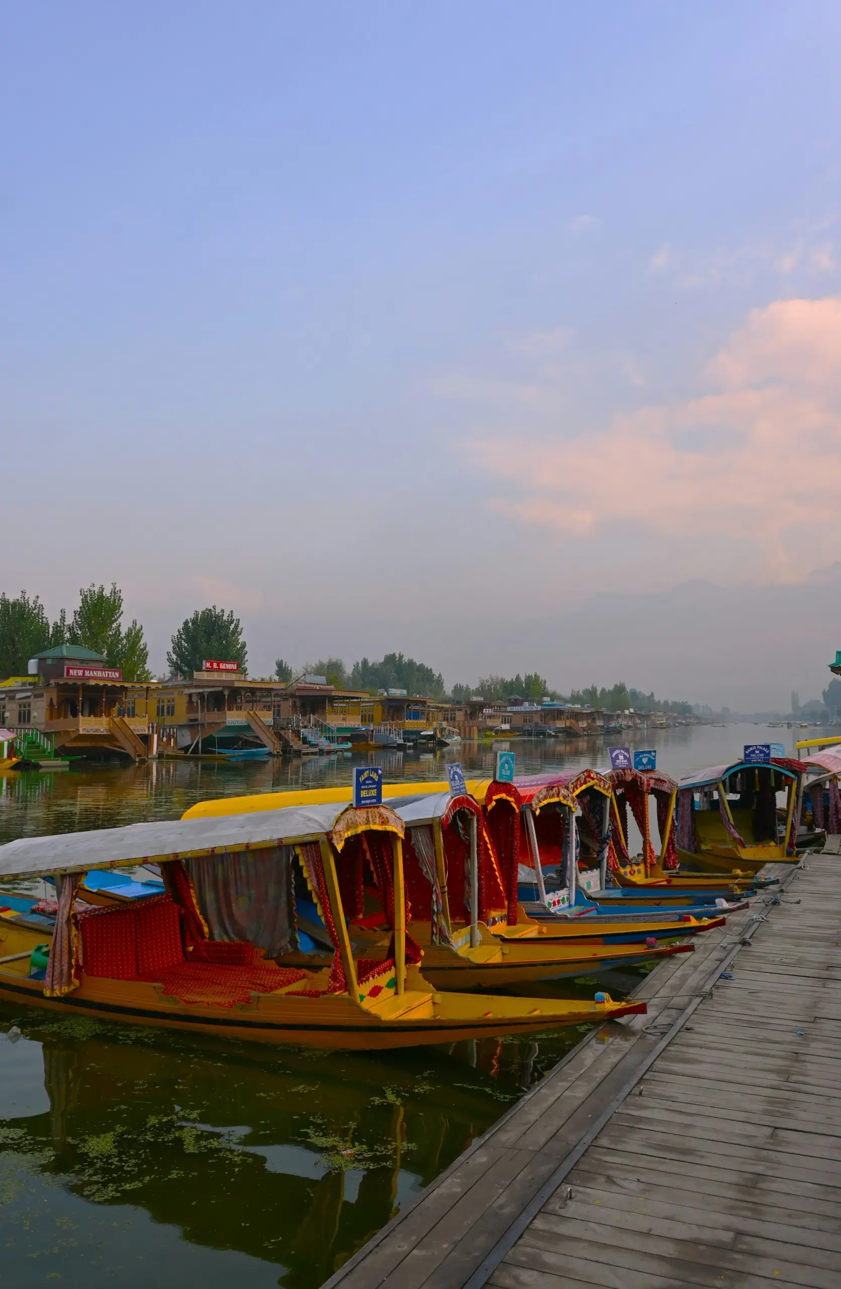 Kashmir