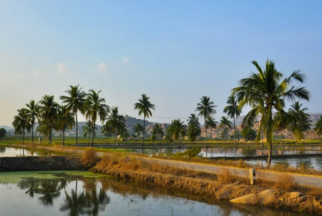 Puducherry Tour Package