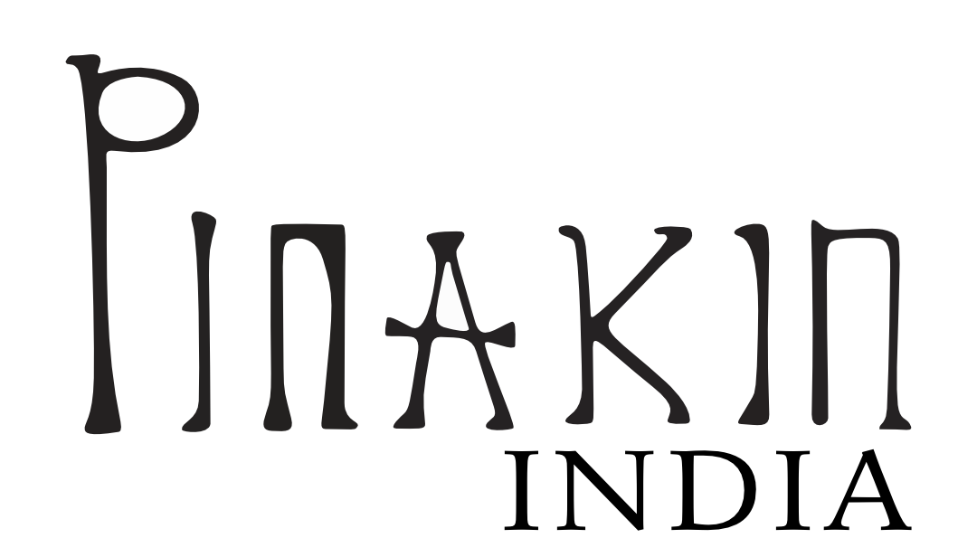 Pinakin India Logo